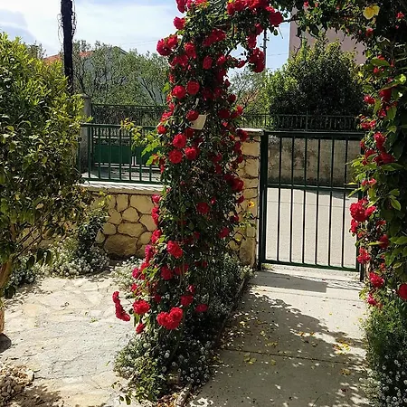 16759b سفيتي فيليب ياكوف